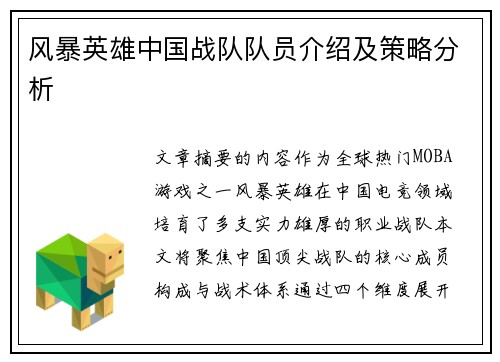 风暴英雄中国战队队员介绍及策略分析